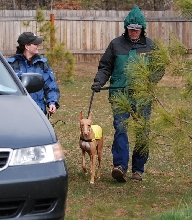 Kahla's new handler walks her out