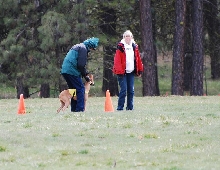 Kahla "guest" handler - Grandpa!