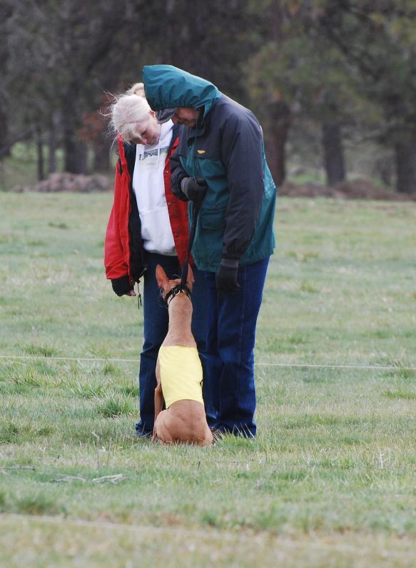Kahla being very good for grandpa