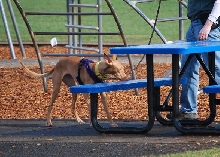 Recheck bench