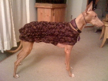 Kahla's coat from Auntie Christy
