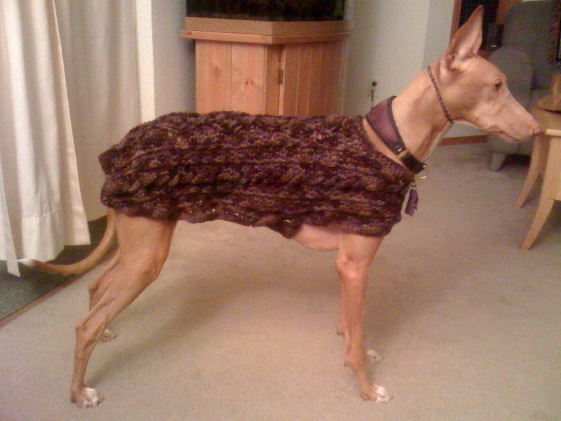 Kahla's coat from Auntie Christy