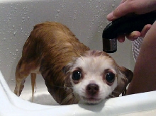 Dad, a little help please?