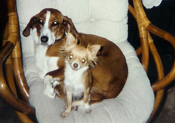 LaVie and Annie
