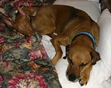 Resting on CA road trip