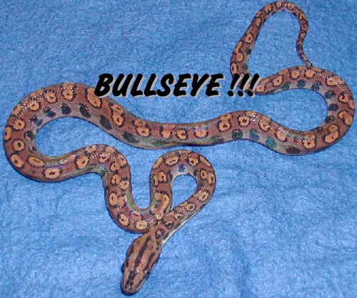 Another oddball BRB
