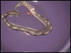 NEW BOA MORPH