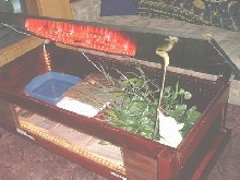 Ball Python Enclosure