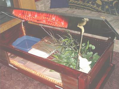Ball Python Enclosure