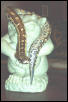 Blood Python - Female