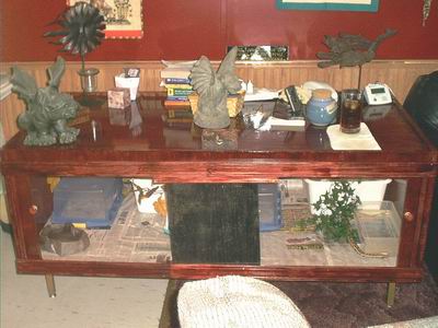 Blood Python Enclosure