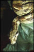 BCI - Female