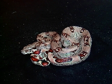 female jungle 1