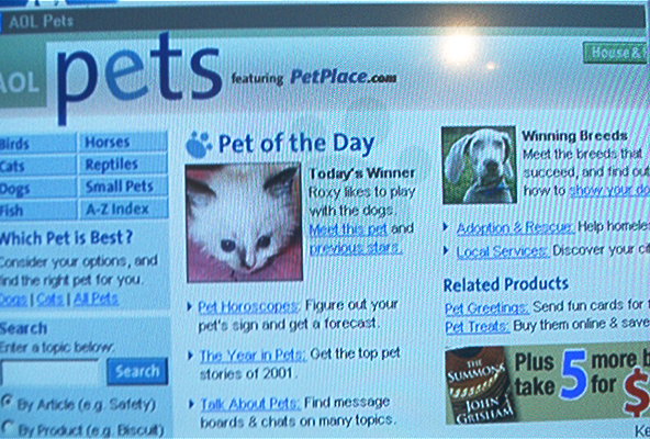 Best cat Roxy
