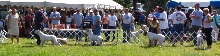 Grantville Show