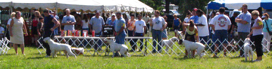 Grantville Show