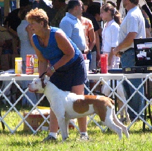 Grantville Show