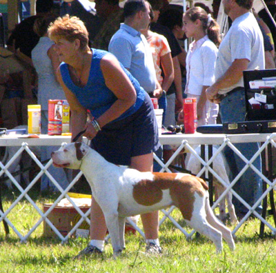 Grantville Show