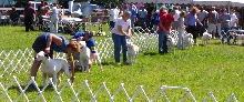 Grantville Show