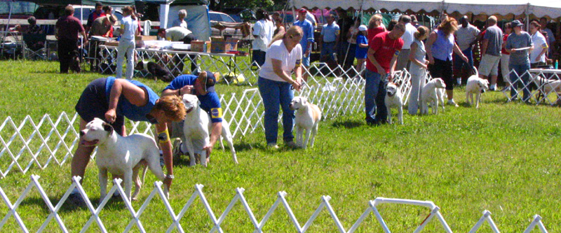 Grantville Show