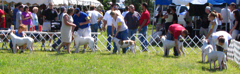 Grantville Show