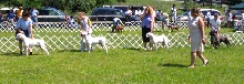 Grantville Show