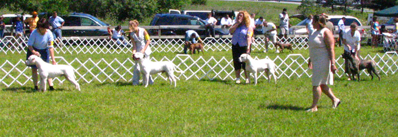 Grantville Show