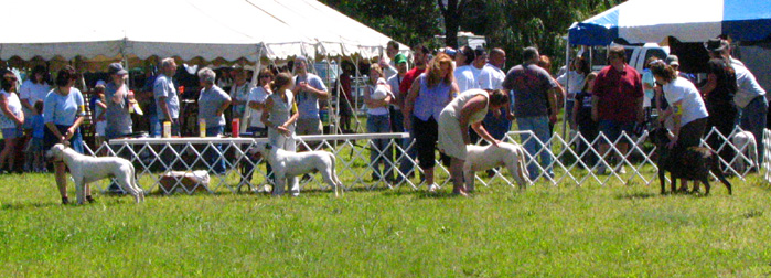 Grantville Show