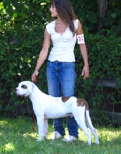 Grantville Show