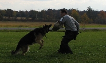 Trooper Schutzhund