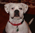Small Version of Portrait