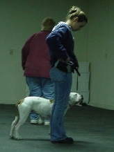 Sophie