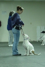 Sophie at Class