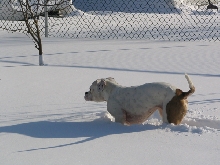 Blizzard 05