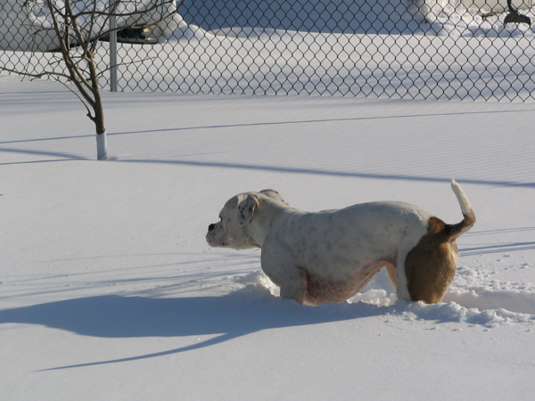 Blizzard 05