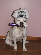 Happy New Year!!