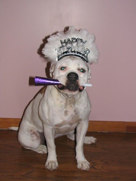 Happy New Year!!