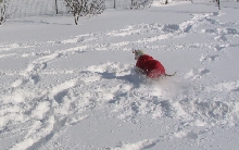 Blizzard 05