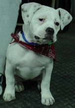Sophie's Graduation Day