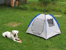 Tent!