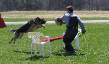 Trooper