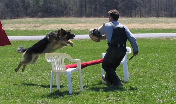 Trooper