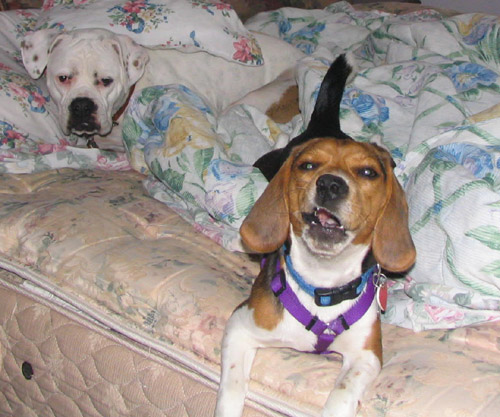 you woke us up!