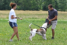 SchH 7-17-04