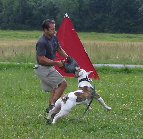 SchH 7-17-04