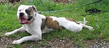 SchH 7-17-04