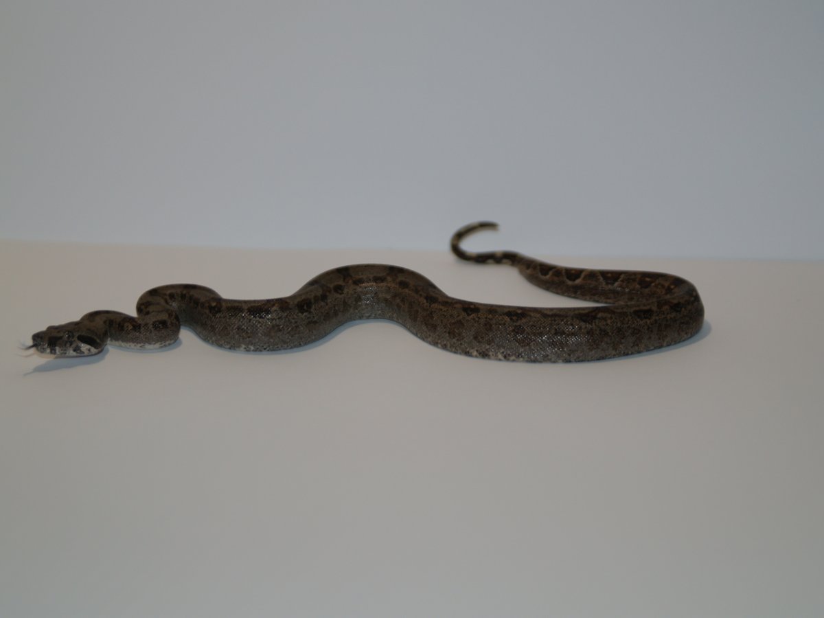 Granite side