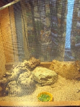 New cage- Left side
