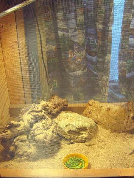 New cage- Left side