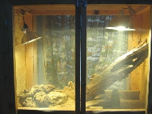 New cage